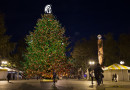 USC Already Decorating for Christmas, Puts Up 100ft Tall Christmas Tree