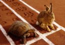 In Race Between Tortoise and Hare, Real Winners Are Those That Profited Off Inciting Race War