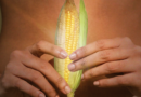 Quiz: Can You Fully Digest Corn?