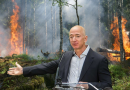 One Amazon: Bezos Launches Project to Burn Rest of Amazon Rainforest